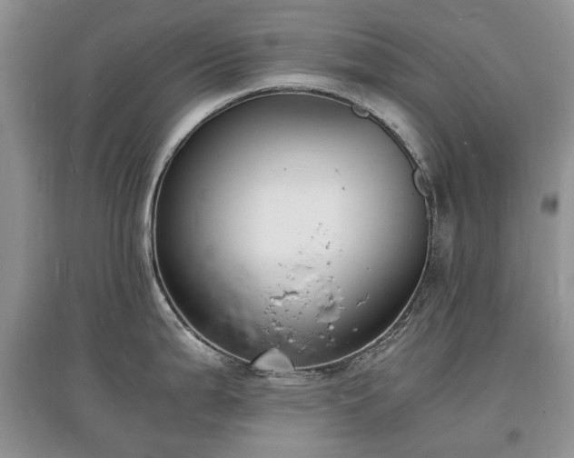 X0000097621199200803071504