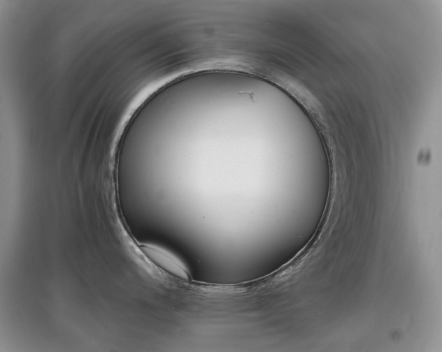 X0000097621200200803071504