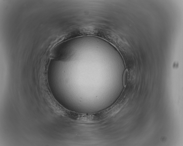 X0000097621201200803071503
