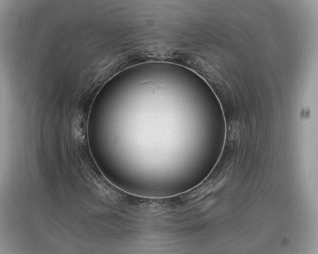X0000097621202200803071503