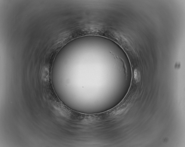 X0000097621203200803071503