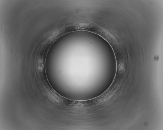 X0000097621204200803071503