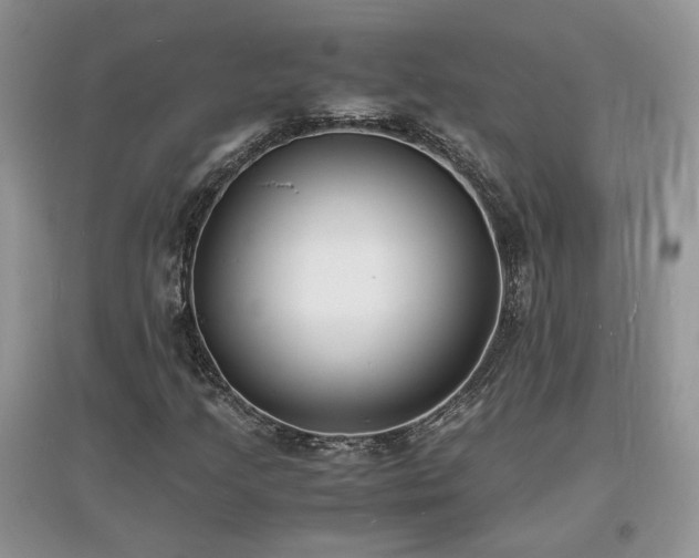 X0000097621205200803071503