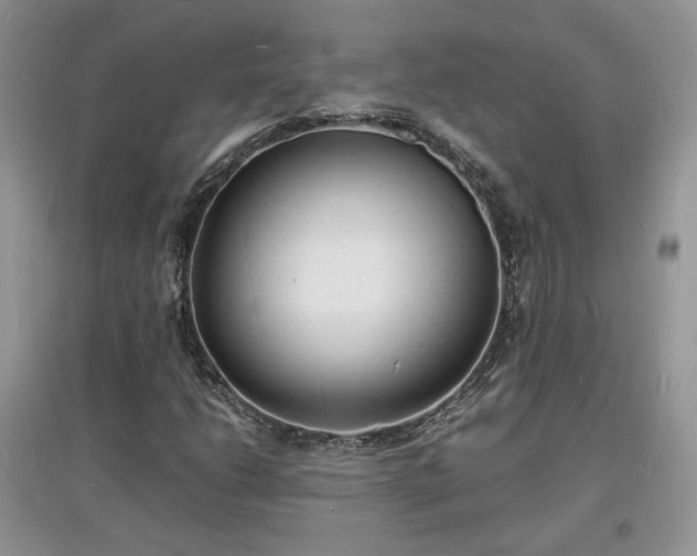 X0000097621206200803071503