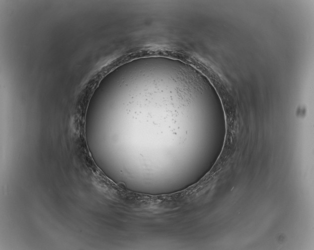 X0000097621207200803071503
