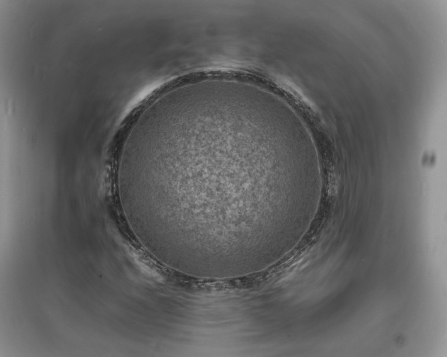 X0000097621208200803071503