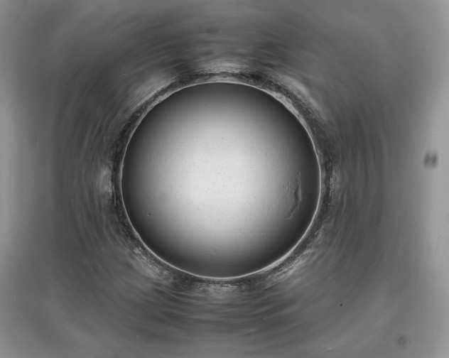 X0000097621209200803071503