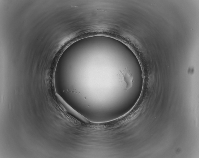 X0000097621210200803071503
