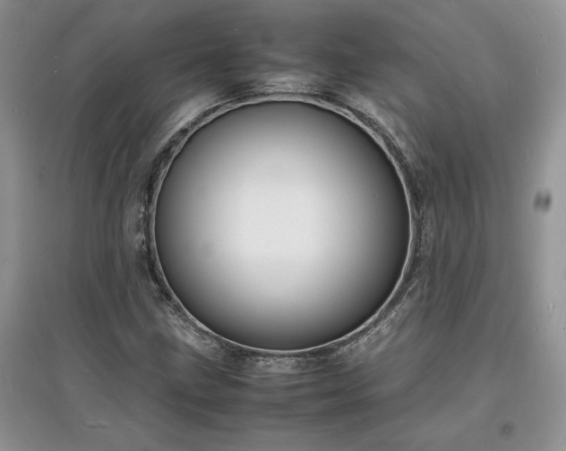 X0000097621211200803071503