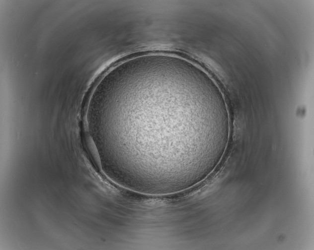 X0000097621212200803071503