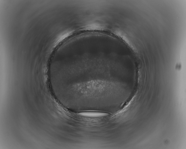 X0000097621213200803071503