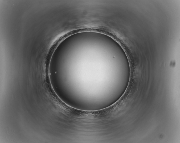 X0000097621214200803071503