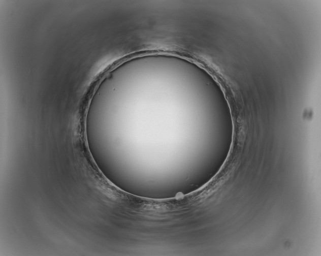 X0000097621215200803071503