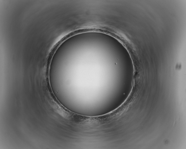 X0000097621216200803071503