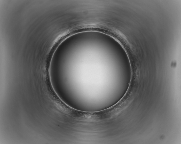 X0000097621218200803071503