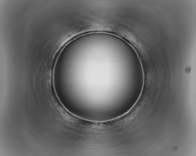 X0000097621220200803071503