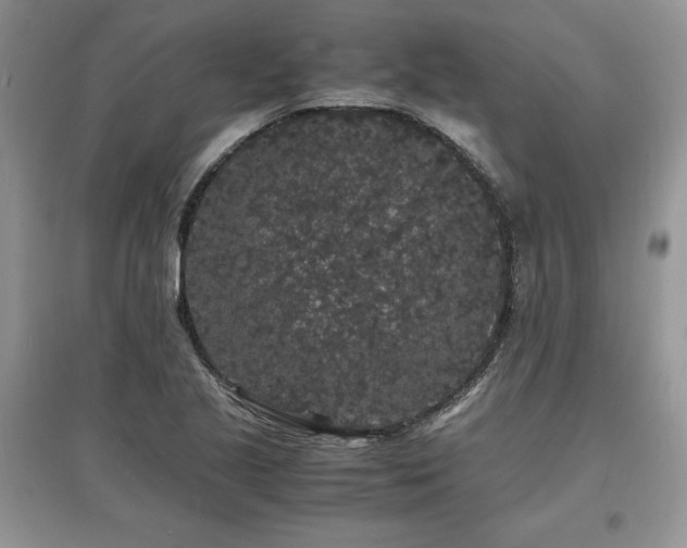 X0000097621221200803071503