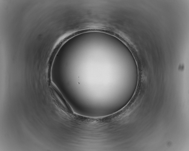 X0000097621222200803071503