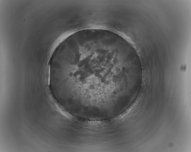 X0000097621223200803071503