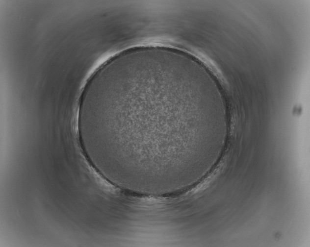 X0000097621224200803071503