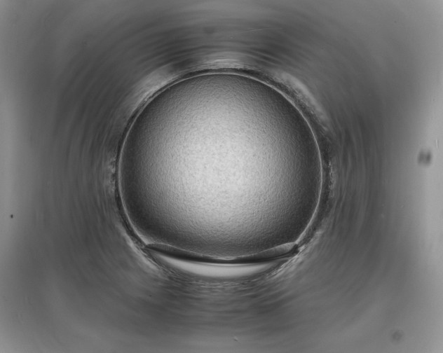 X0000097621225200803071503