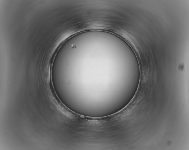 X0000097621227200803071503