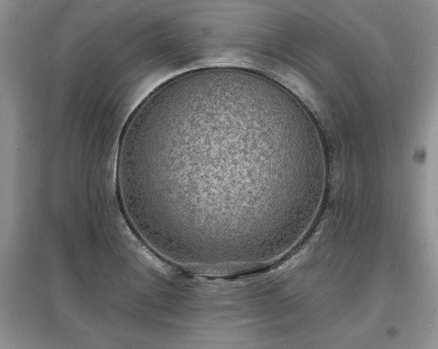 X0000097621228200803071503