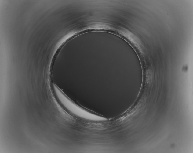 X0000097621229200803071503
