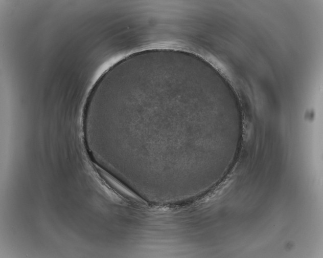 X0000097621230200803071503