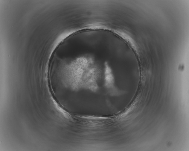 X0000097621231200803071503