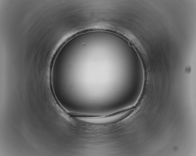 X0000097621232200803071503