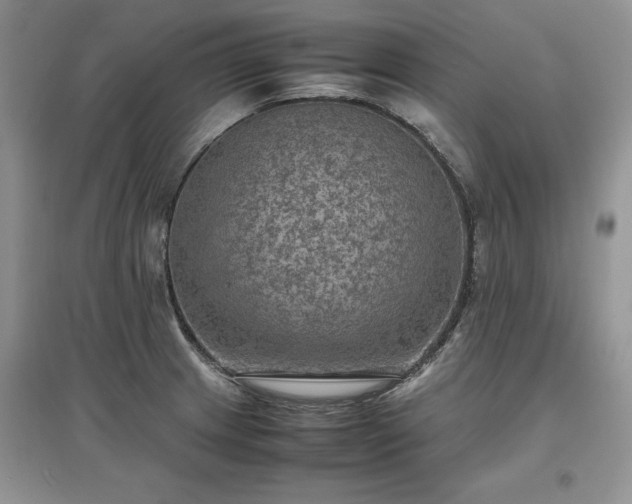 X0000097621233200803071503