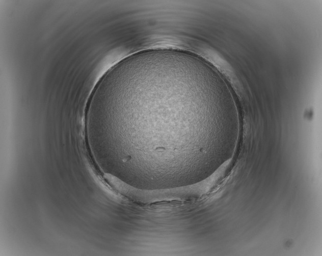 X0000097621234200803071503