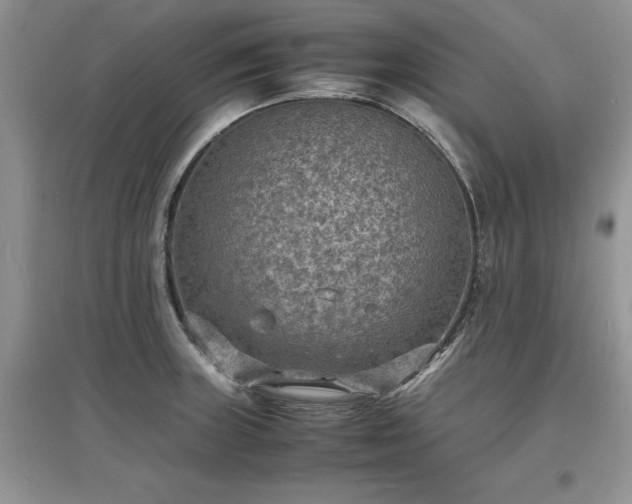 X0000097621235200803071503