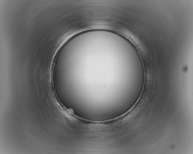 X0000097621236200803071503