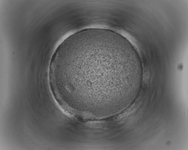 X0000097621237200803071503