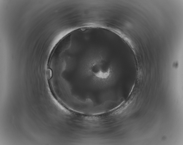 X0000097621239200803071503