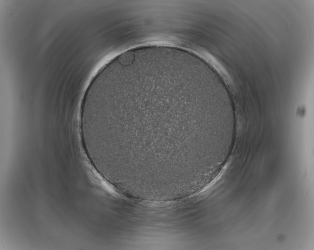 X0000097621240200803071503