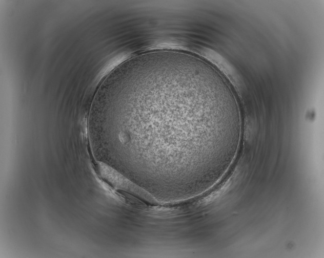 X0000097621241200803071503