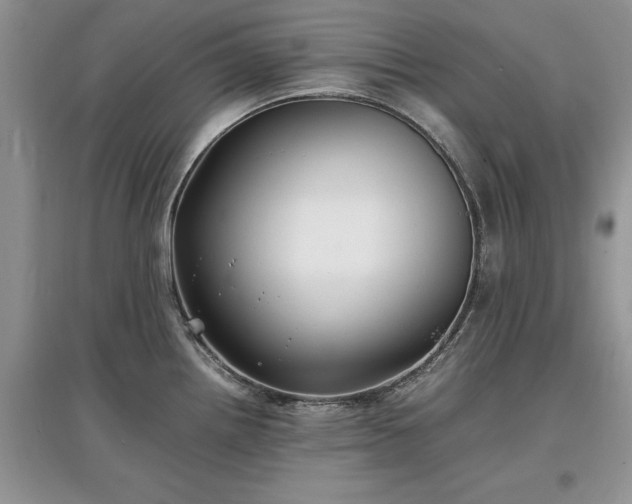 X0000097621242200803071503