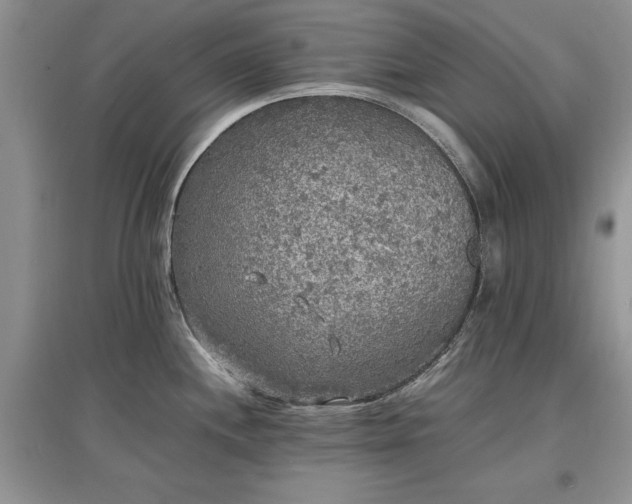 X0000097621244200803071503