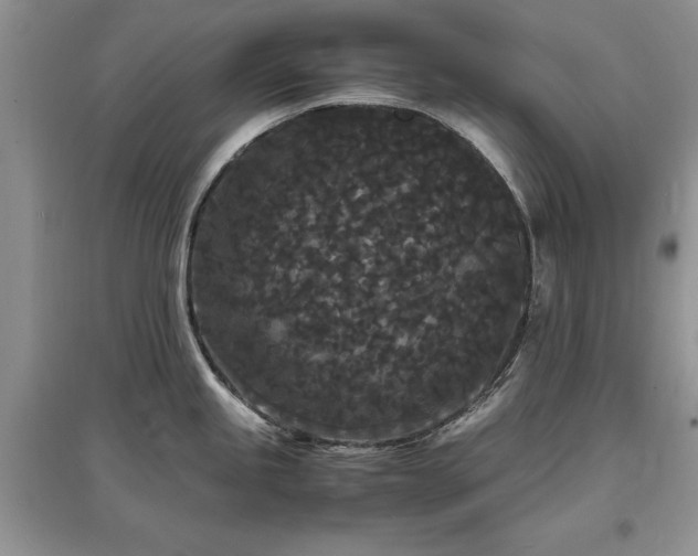X0000097621245200803071503