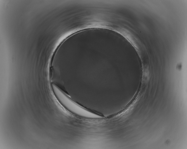 X0000097621246200803071504