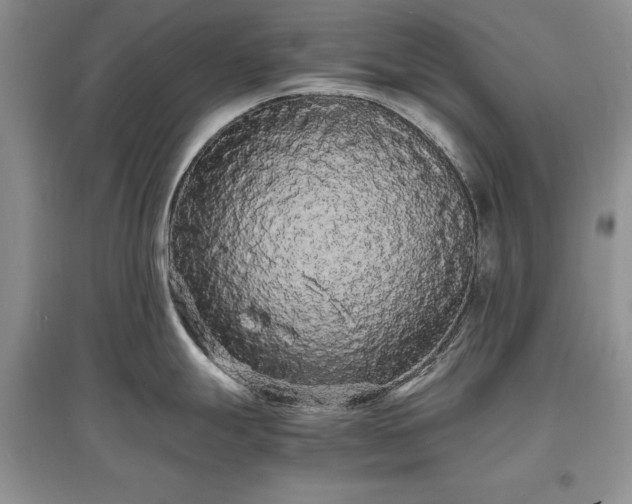 X0000097621247200803071504