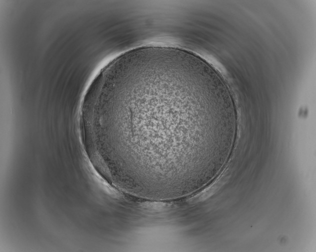 X0000097621248200803071504