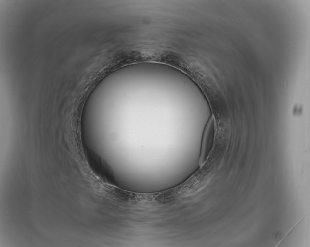 X0000097621249200803071503