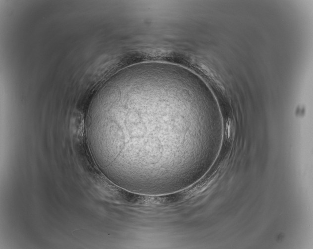 X0000097621251200803071503