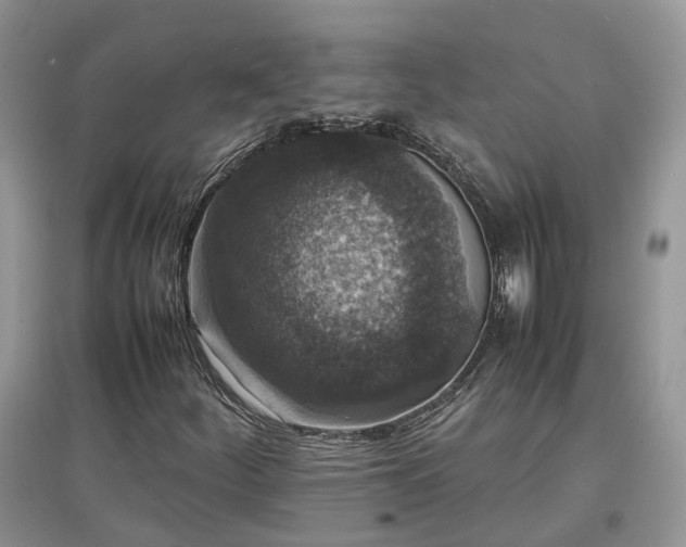 X0000097621252200803071503