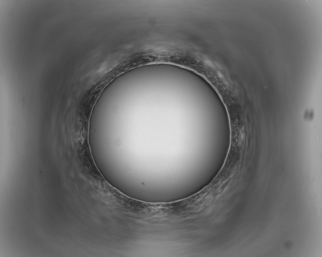 X0000097621253200803071503