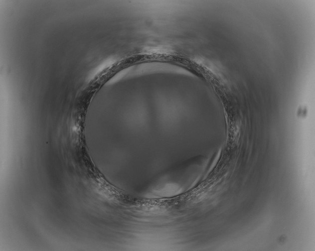 X0000097621254200803071503